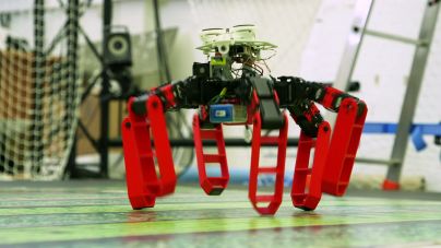 AntBot : le robot fourmi